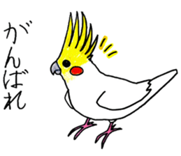 Bird stickers sticker #13911531