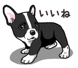 Wanko-Biyori French Bulldog sticker #13912246