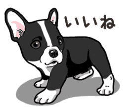 Wanko-Biyori French Bulldog sticker #13912246
