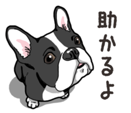 Wanko-Biyori French Bulldog sticker #13912247
