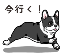 Wanko-Biyori French Bulldog sticker #13912260