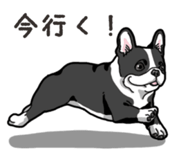 Wanko-Biyori French Bulldog sticker #13912260
