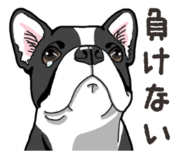 Wanko-Biyori French Bulldog sticker #13912266