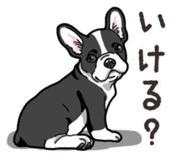 Wanko-Biyori French Bulldog sticker #13912274