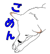 maruma sticker #13912380