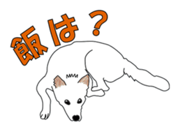 maruma sticker #13912397