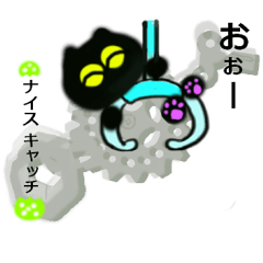 UFO big favorite black cat CO