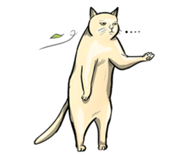 Actually..I'm cat! sticker #13912719