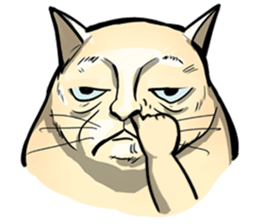 Actually..I'm cat! sticker #13912720