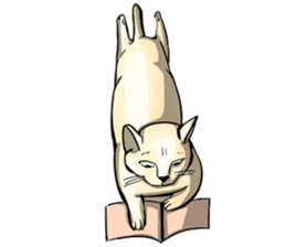 Actually..I'm cat! sticker #13912723