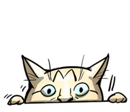 Actually..I'm cat! sticker #13912733