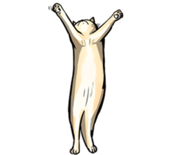 Actually..I'm cat! sticker #13912738