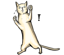 Actually..I'm cat! sticker #13912742