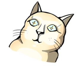 Actually..I'm cat! sticker #13912744