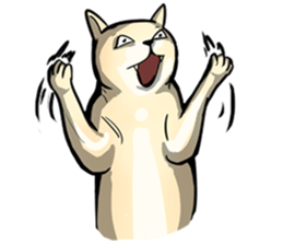 Actually..I'm cat! sticker #13912747