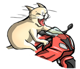 Actually..I'm cat! sticker #13912749