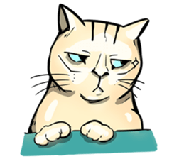 Actually..I'm cat! sticker #13912757