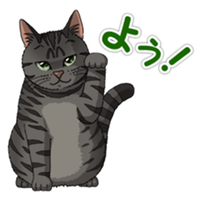 4Cats Vol.1 sticker #13913551