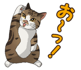 4Cats Vol.1 sticker #13913552