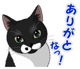 4Cats Vol.1 sticker #13913553