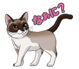 4Cats Vol.1 sticker #13913555