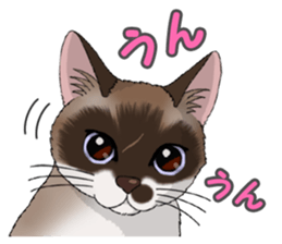 4Cats Vol.1 sticker #13913556