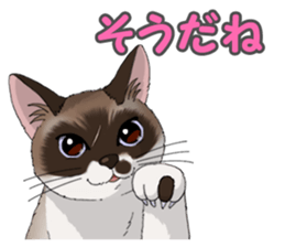 4Cats Vol.1 sticker #13913557