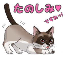 4Cats Vol.1 sticker #13913558