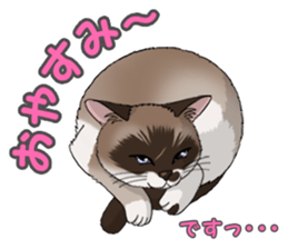 4Cats Vol.1 sticker #13913562