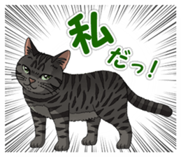 4Cats Vol.1 sticker #13913563