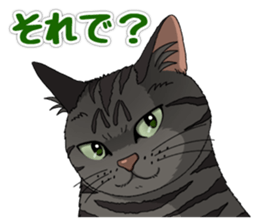 4Cats Vol.1 sticker #13913564