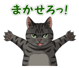 4Cats Vol.1 sticker #13913566