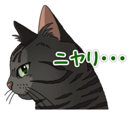 4Cats Vol.1 sticker #13913567