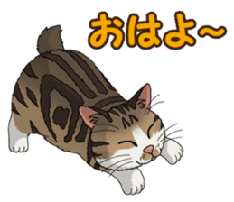 4Cats Vol.1 sticker #13913572