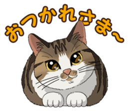 4Cats Vol.1 sticker #13913573