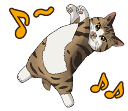 4Cats Vol.1 sticker #13913578