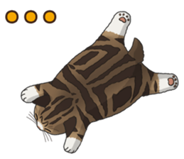 4Cats Vol.1 sticker #13913580