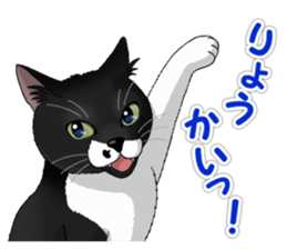 4Cats Vol.1 sticker #13913581