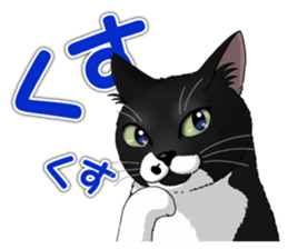 4Cats Vol.1 sticker #13913582
