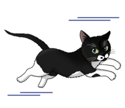 4Cats Vol.1 sticker #13913589