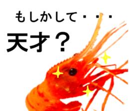 Botan Ebi sticker #13913999