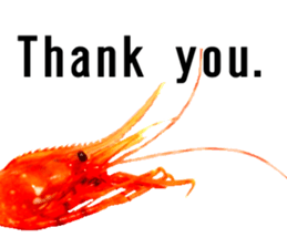 Botan Ebi sticker #13914000