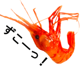 Botan Ebi sticker #13914003