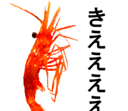 Botan Ebi sticker #13914004