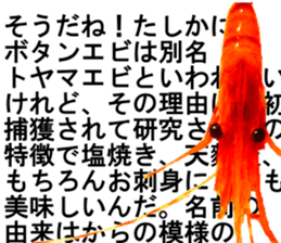 Botan Ebi sticker #13914006