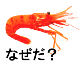 Botan Ebi sticker #13914008