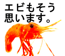 Botan Ebi sticker #13914010