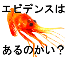 Botan Ebi sticker #13914012