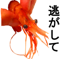 Botan Ebi sticker #13914014