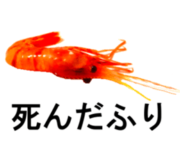 Botan Ebi sticker #13914016